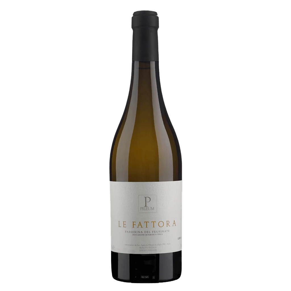 Le Fattora - Grechetto del Frusinate - Pileum