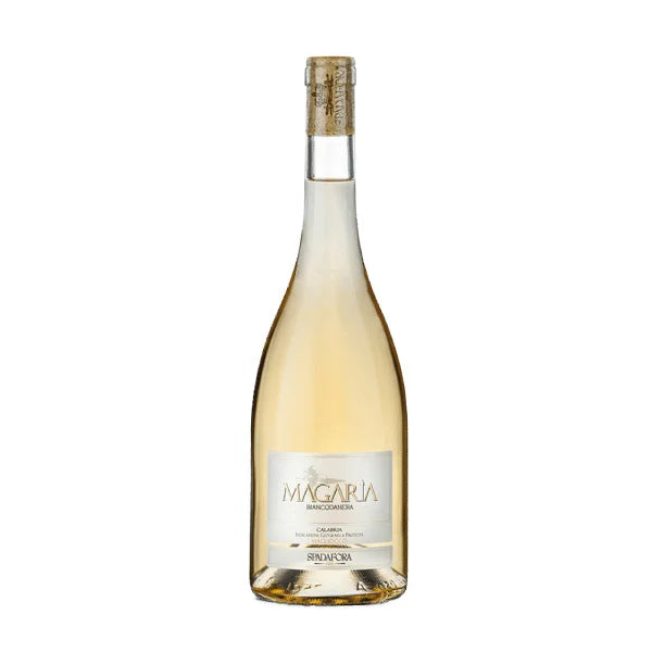 Degustazioni e vini naturali al ristorante Venere fuori roma