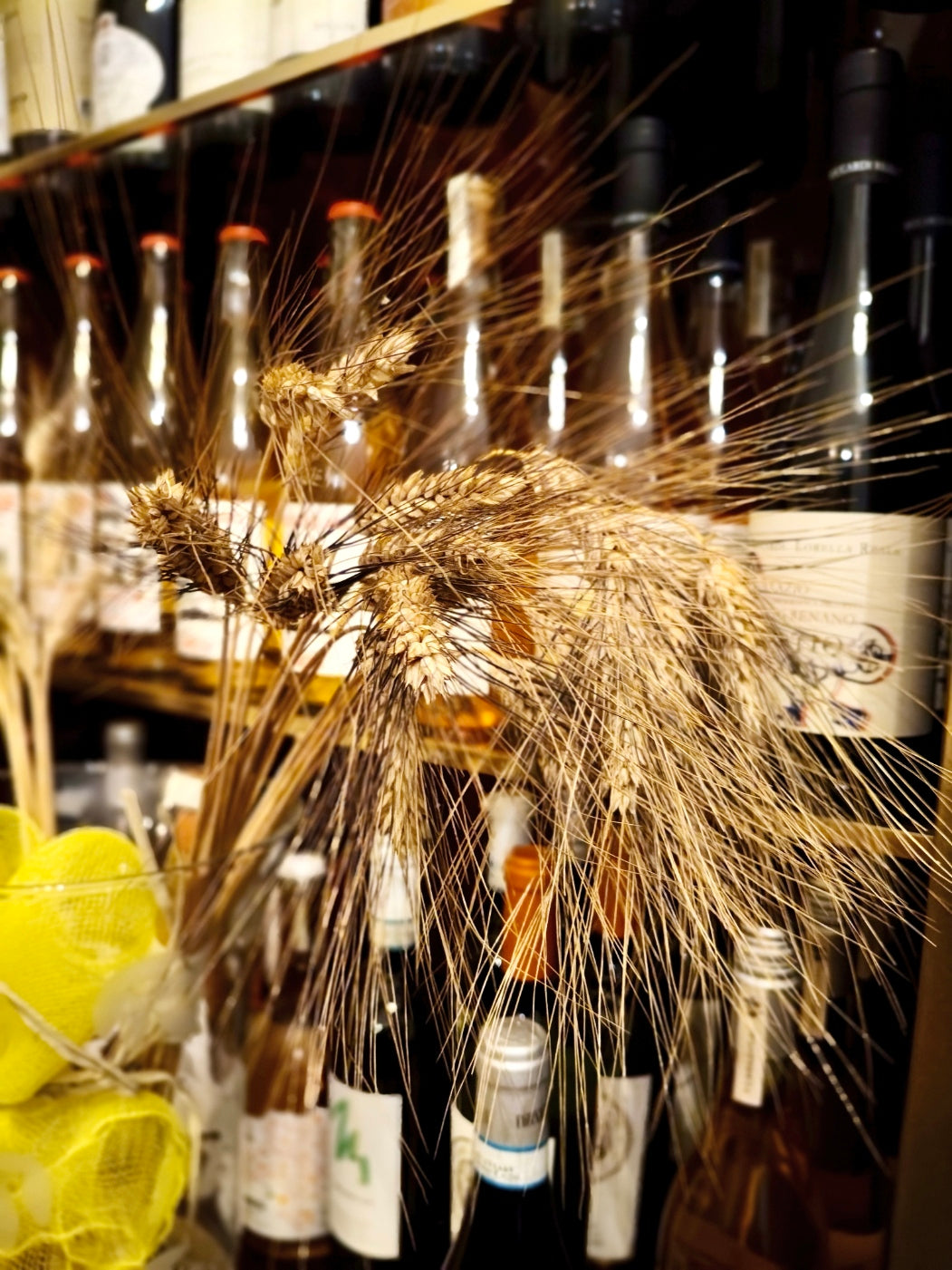 Pasta Mancini e vini selezionati al Ristorante Venere: un’esperienza unica