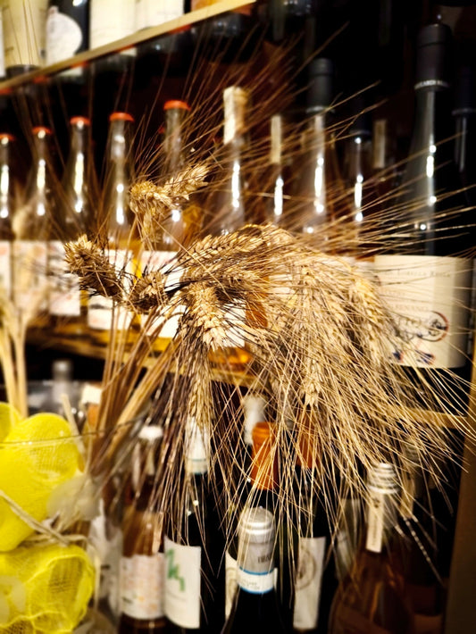 Pasta Mancini e vini selezionati al Ristorante Venere: un’esperienza unica