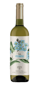 Pecorino - Tenuta Cocci Grifoni