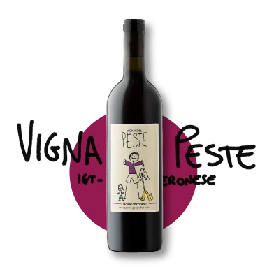 vigna del peste- degustazione vino fuori Roma