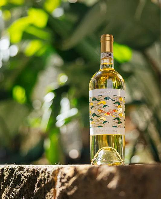 Pecorino DOCG - Villa Angela - Velenosi