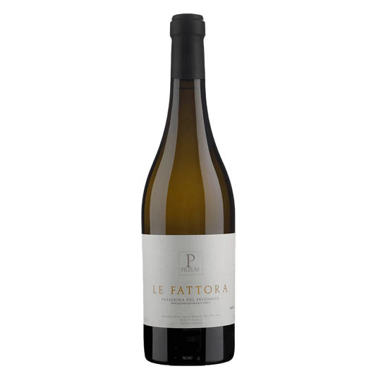 Le Fattora - Pileum